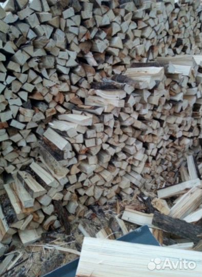 Дрова береза