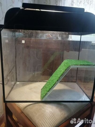 Аквариум для черепах