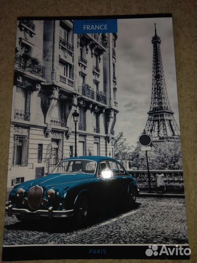 Тетрадь 48 листов клетка размер 20 на 30см