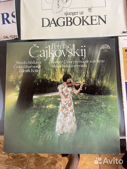 Виниловые пластинки