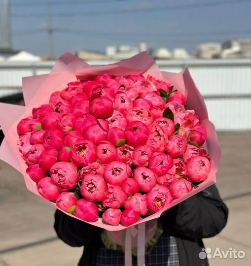 Пионы / Доставка цветов