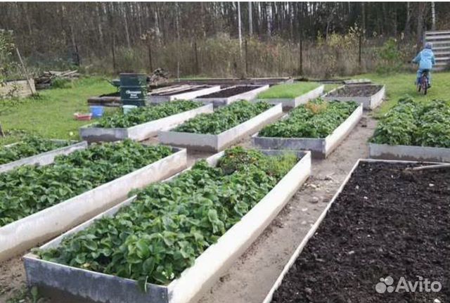 Красивый огород. Грядка дпк holzhof. Металлические ограждения для грядок. 12 грядок. Идеи для огорода.