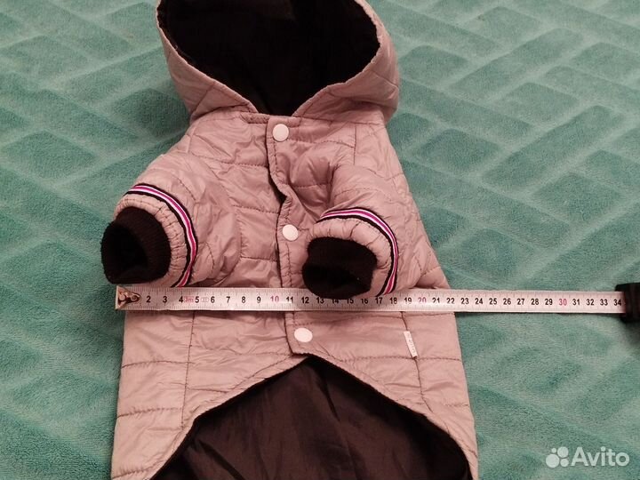 Жилетки на собачку