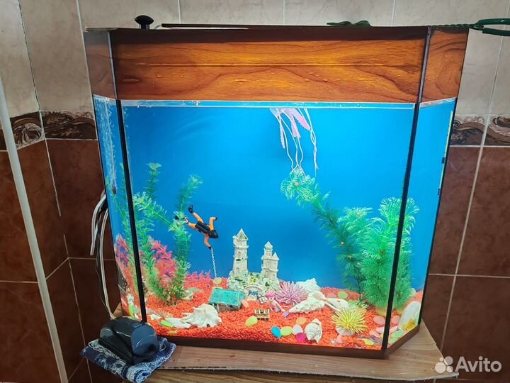 Аквариум для рыбок
