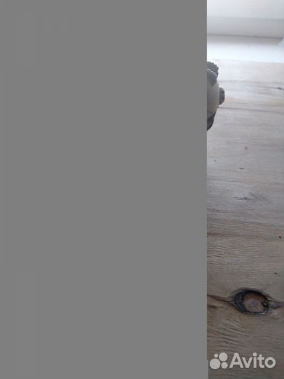 Warhammer 40K: Munitorum Dice