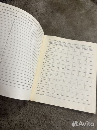 Дневник советского школьника, СССР