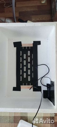 Автоматический инкубатор