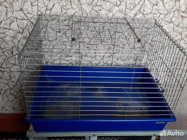 Клетка для грызунов