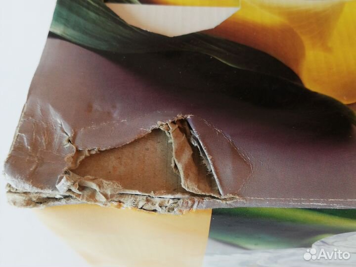 Блюдо с крышкой для пирожных, сыра фирмы Luminarc