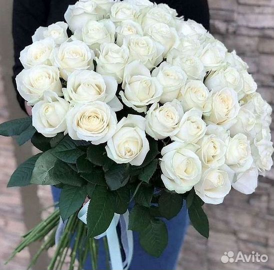 Розы Букеты Цветы Розы 31 101 151 201 Доставка