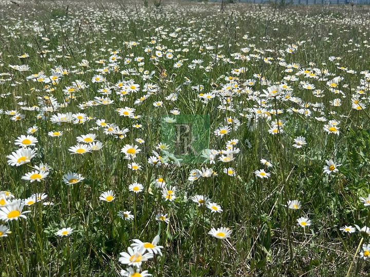 Участок 9,3 сот. (ИЖС)