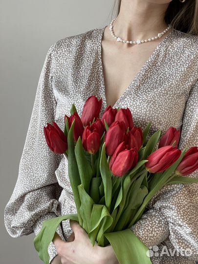 Тюльпаны крупные премиум класса