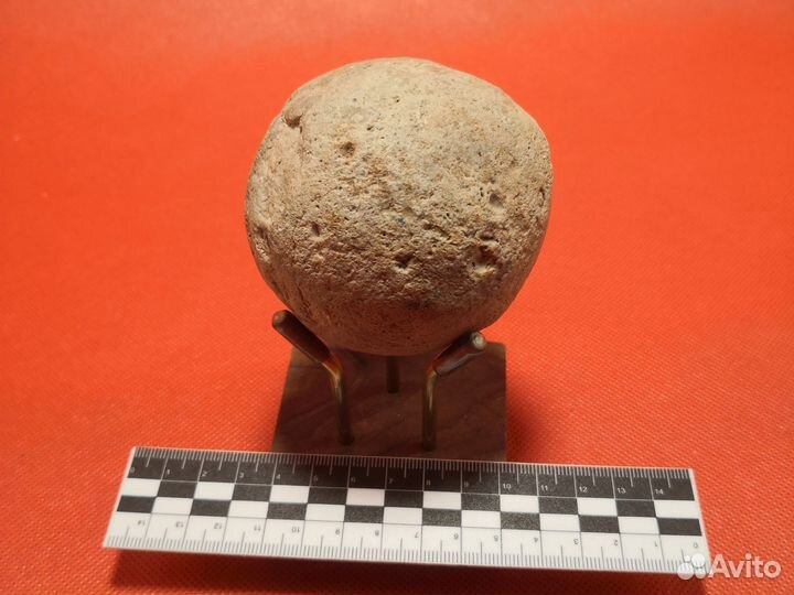 Половина сферической конкреции