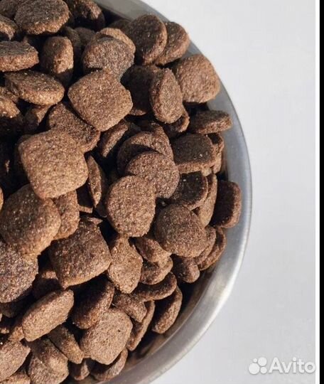 Корм для собак