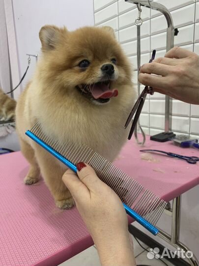 Груминг обучение