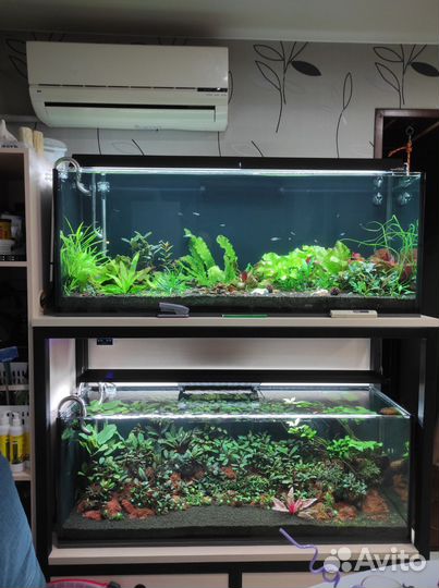 Аквариум 200л