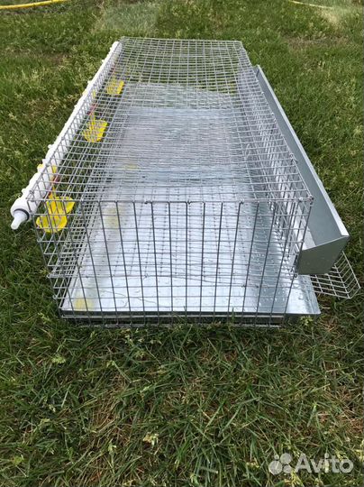 Клетка доя перепелов