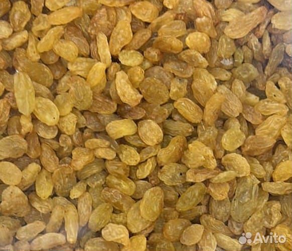 Изюм золотой, Джамбо