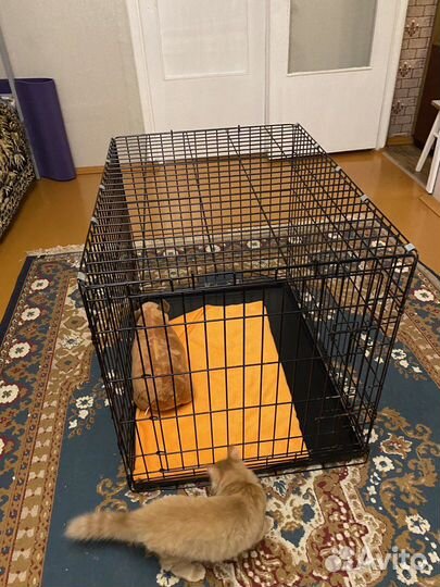 Клетка для крупных собак