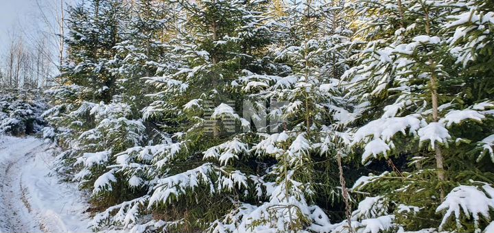 Участок 24 га (ИЖС)