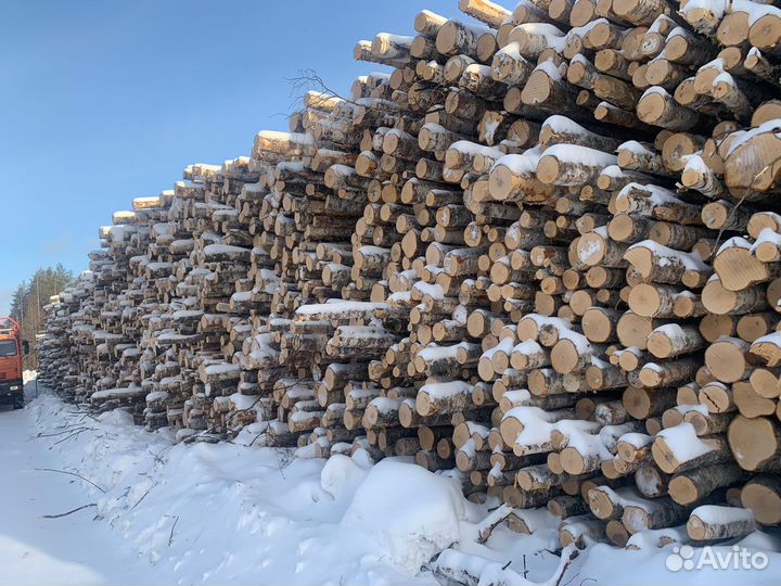 Баланс хвойных пород