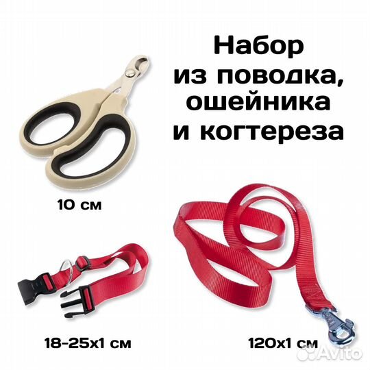Ошейник, поводок и когтерез (набором)