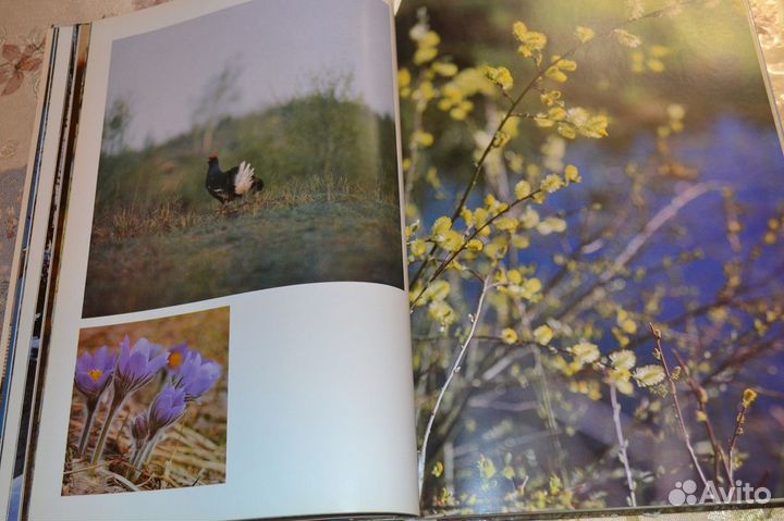 Книга-фотоальбом 