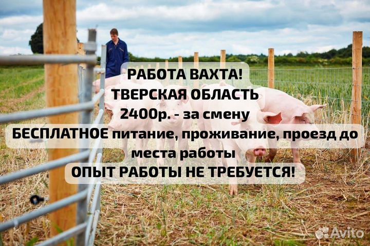 Работа вахта с проездом,проживанием,питанием