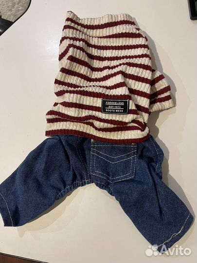 Одежда для собак