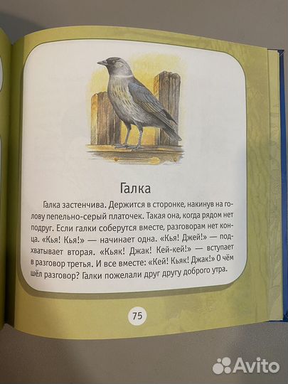 Детская книга 