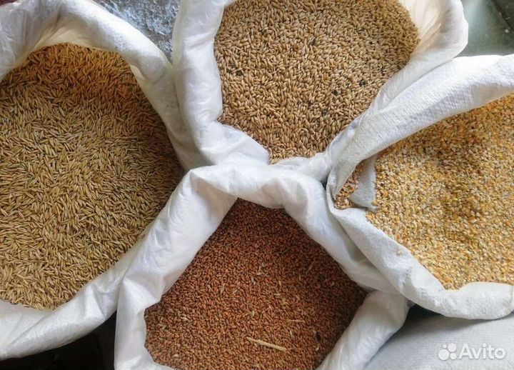 Комбикорма для с/х животных