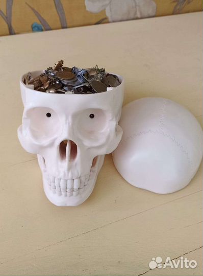 Череп пластиковый для фотосессии