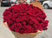 101 роза Эквадор 70 см цветы доставка