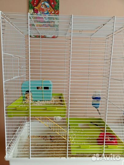Клетка для грызунов