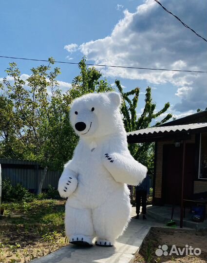 Белый мишка Горилла Тедди Котик Поздравление