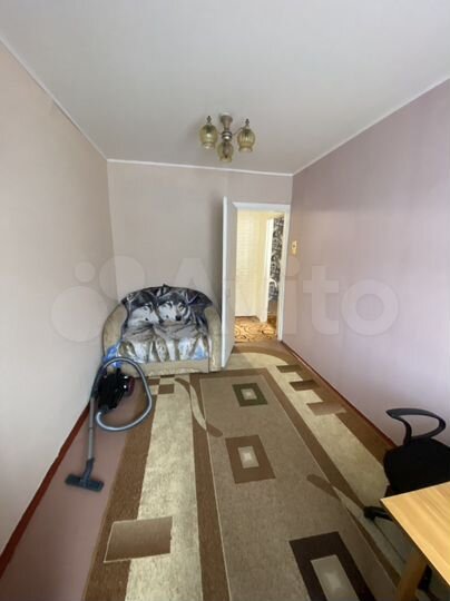 2-к. квартира, 49,6 м², 5/9 эт.