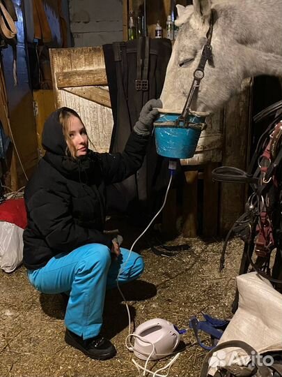 Ветеринар на дом