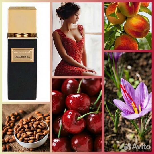 Gritti Duchessa распив