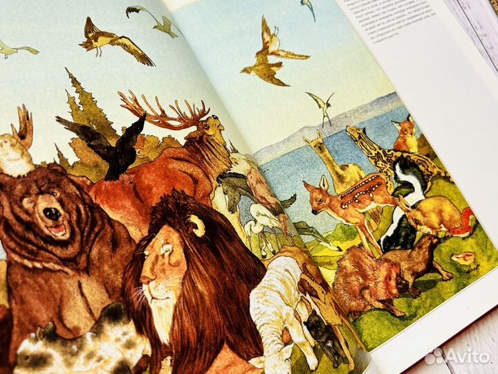 Зачарованный мир