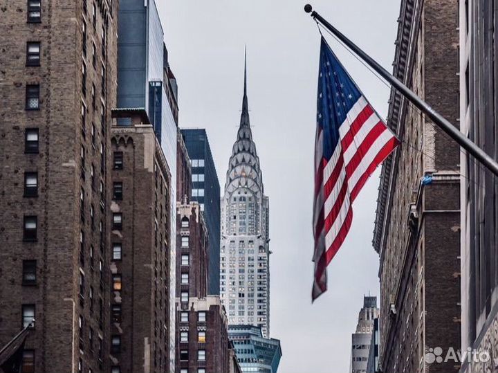 Заполнение анкеты грин кард