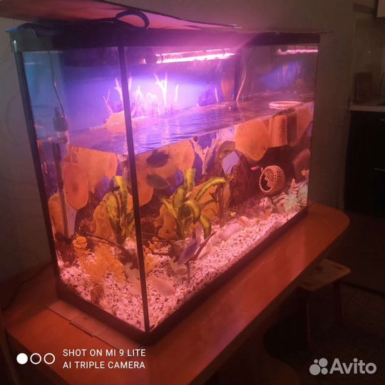 Аквариум