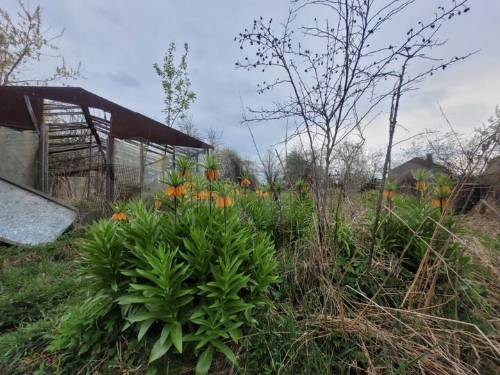 Дом 31,2 м² на участке 12 сот.