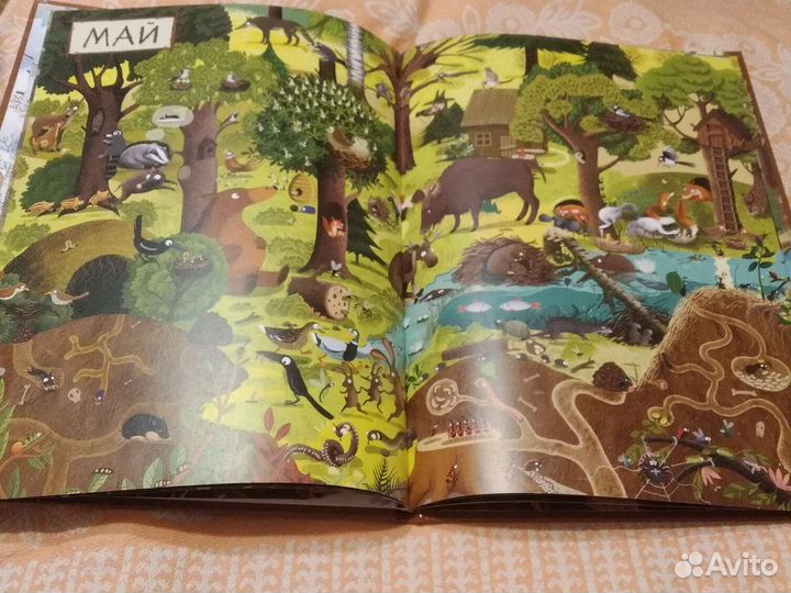 Книга детская clever