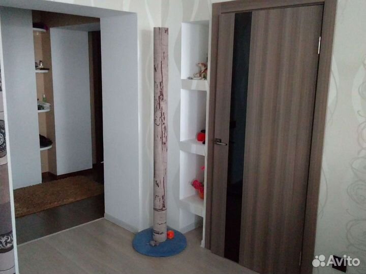 Когтеточка для кошек