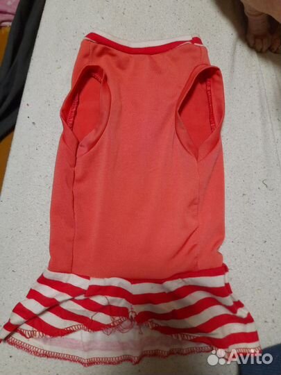 Платье для животных