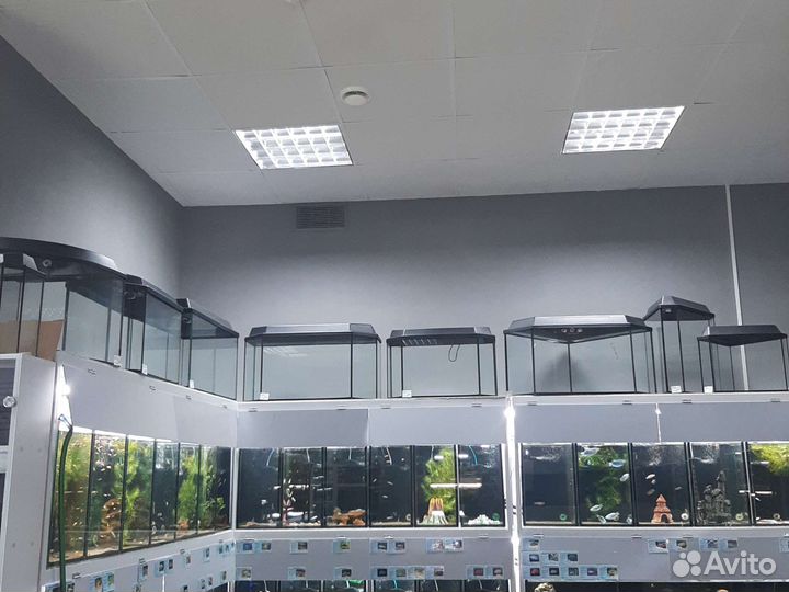 Аквариумы разных размеров и форм