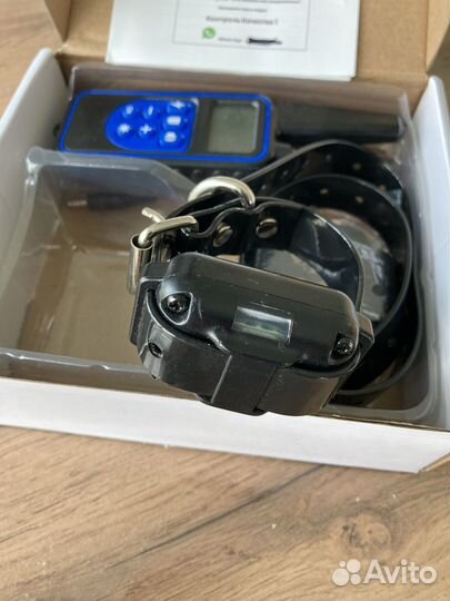 Ошейник для собак