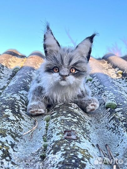 Игрушка рысенок