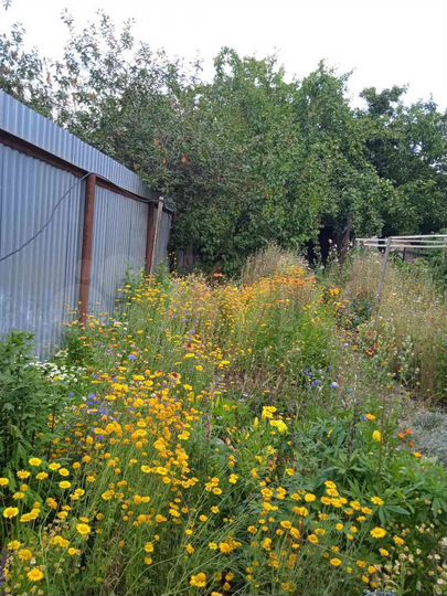 Дом 42,2 м² на участке 3 сот.