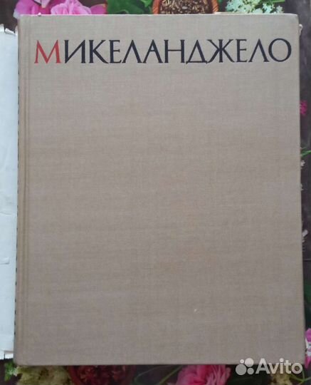 Микеланджело. Жизнь и творчество